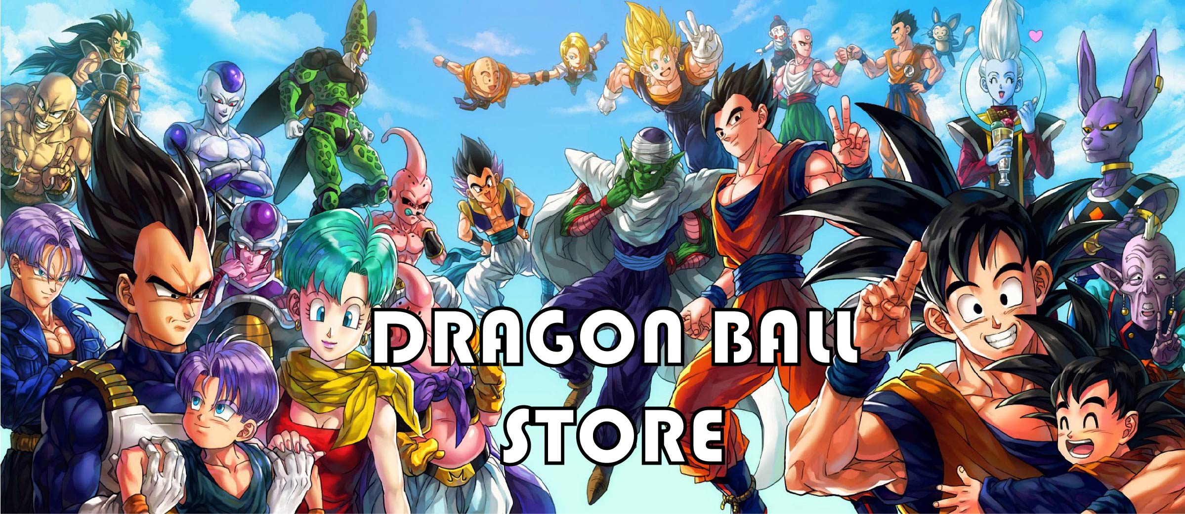 DragonBallStore-about us