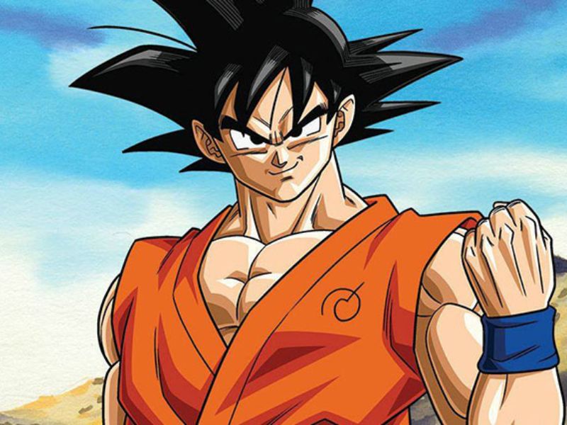 What Is Goku's Age In Dragon Ball Z