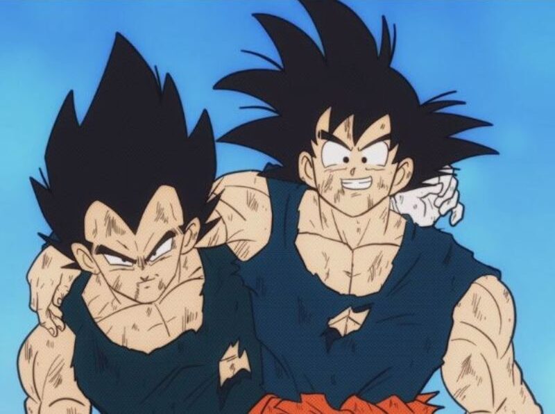 Age Difference Between Goku And Vegeta