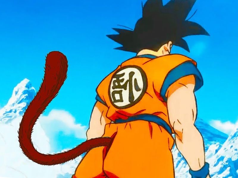 Why Does Goku Have A Tail